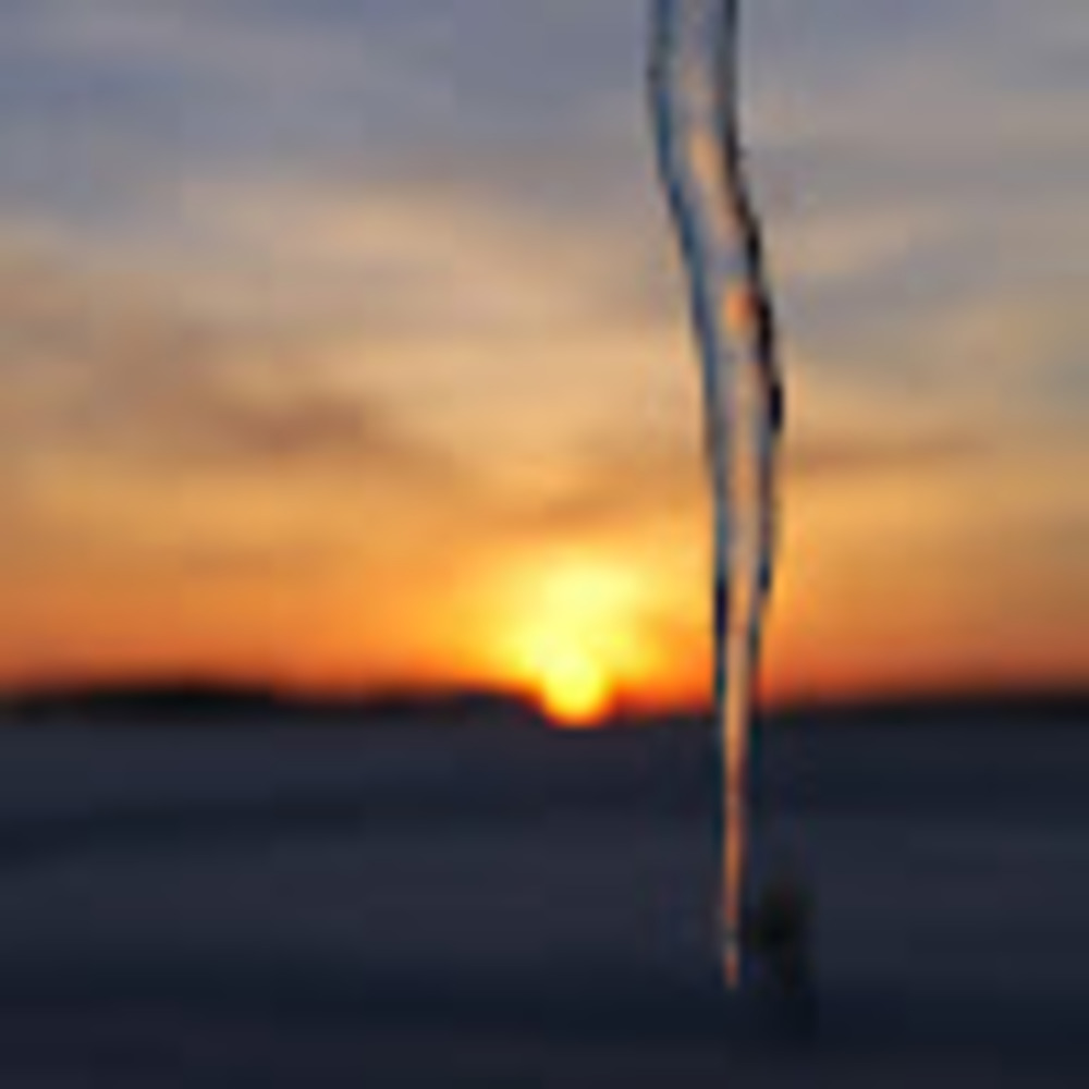 Meet your Posher, Brock